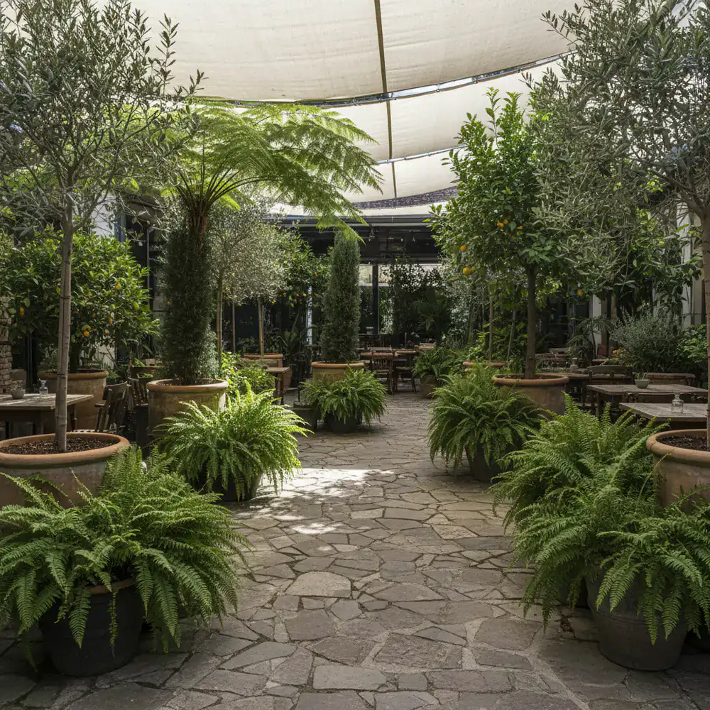 A paved courtyard softened by large potted ferns and trees